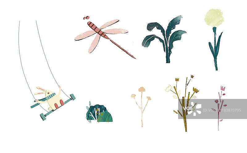 蜻蜓、小兔和植物图片素材