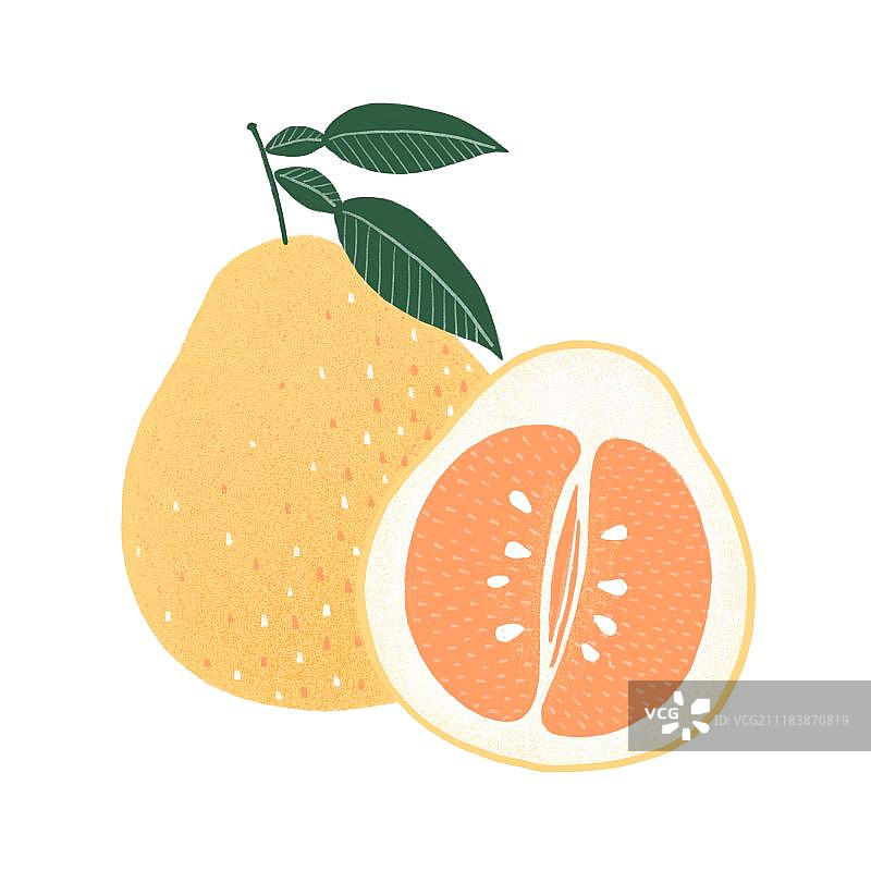 柚子图片素材