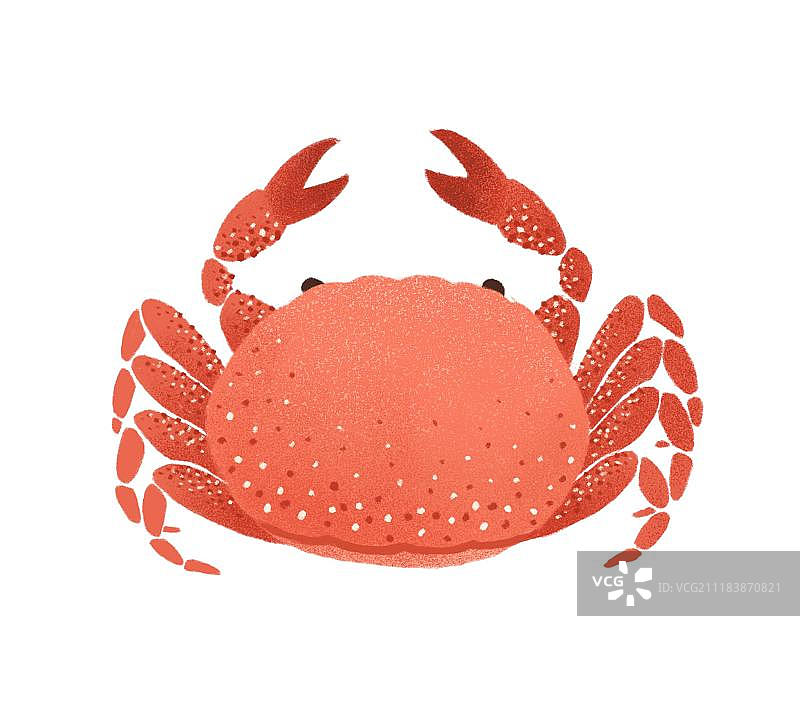 螃蟹大闸蟹图片素材