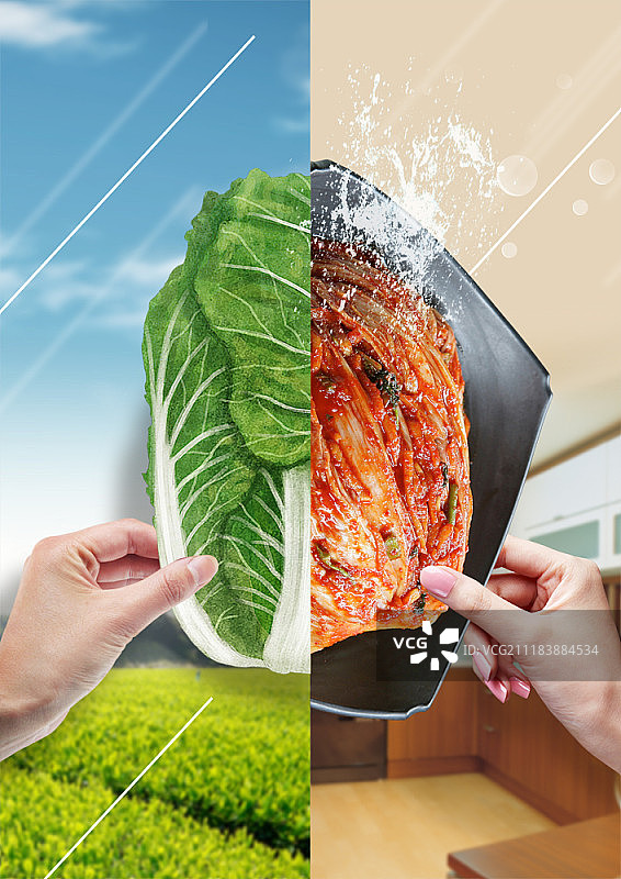 卷心菜和韩式泡菜合成图图片素材