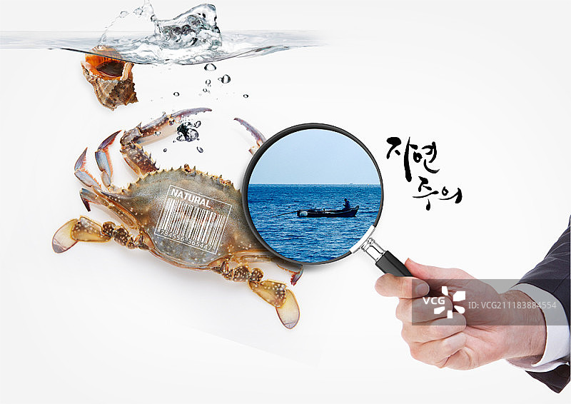 有机食品概念数字合成图像图片素材