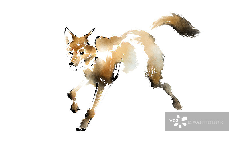 冬季里的孩子们图片素材