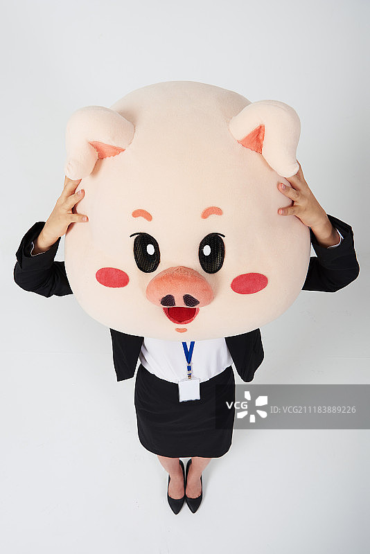 站立姿势的小猪女商人摄影图片素材