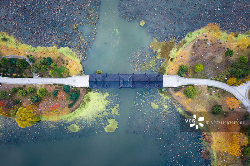 武汉沙湖公园航拍风光图片素材