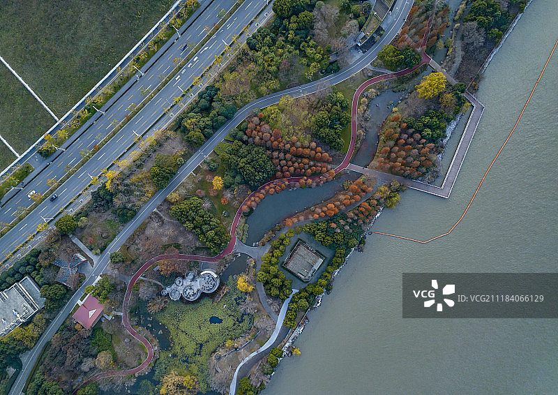 黄浦江岸边绿化带航拍图片素材