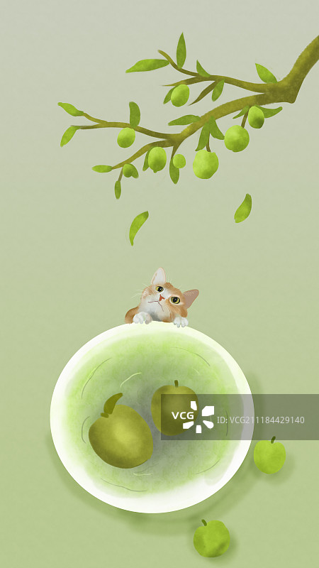 二十四节气芒种之煮梅图片素材