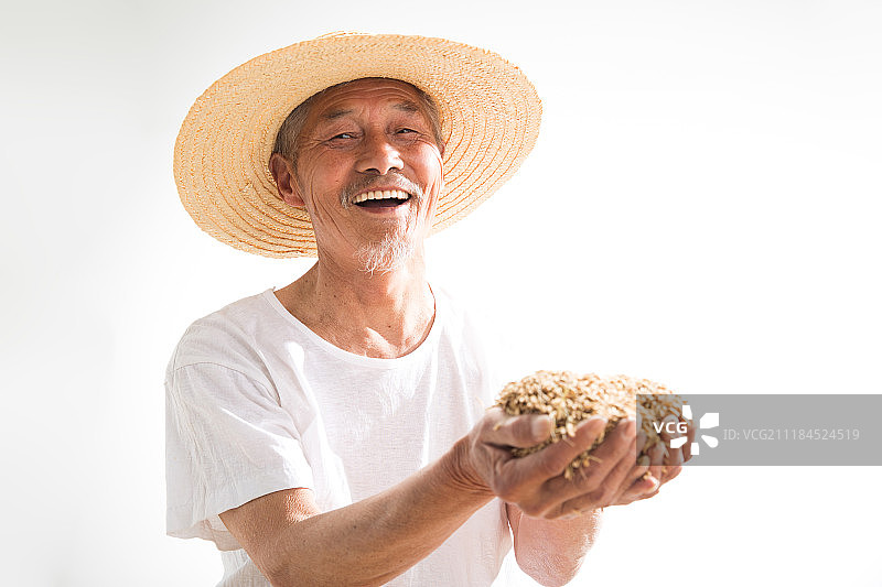 捧着麦子的老农民图片素材