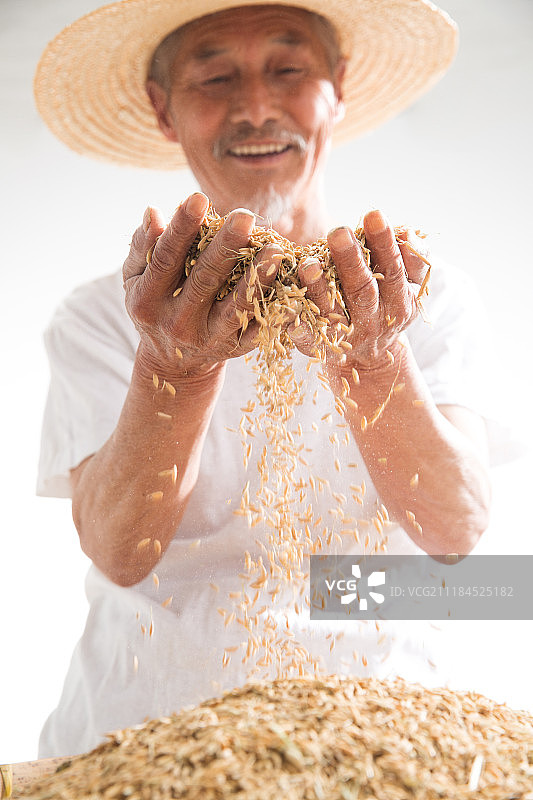 捧着麦子的老农民图片素材