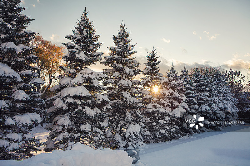 沃特福德米图片素材
