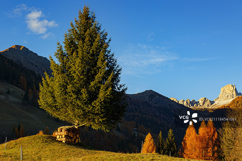 秋天的山景观图片素材