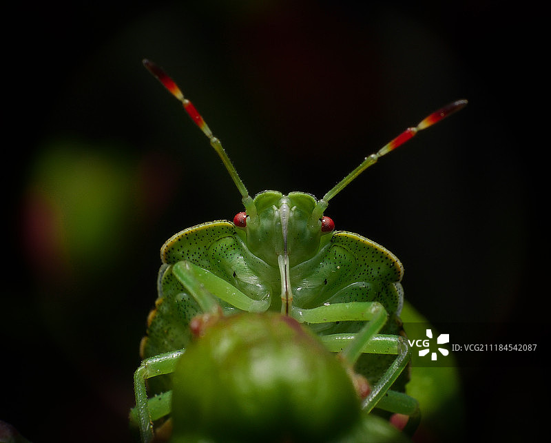 请勿过量饮酒！图片素材