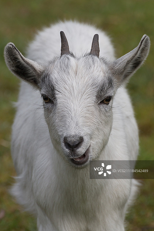 可爱儿童图片素材