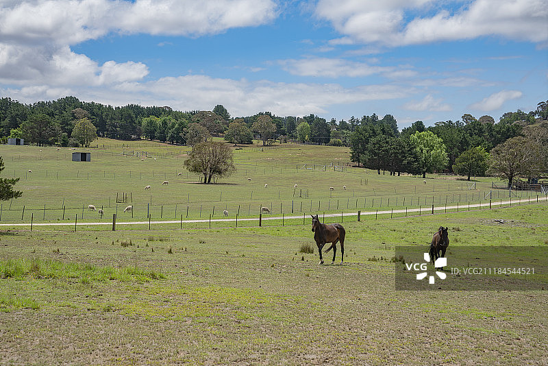 草原农场里的马场图片素材