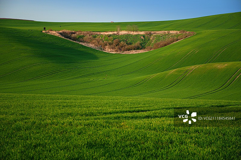 灿烂的笑容图片素材