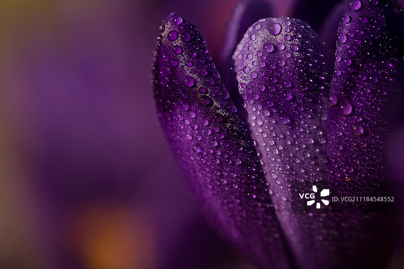 太棒了！图片素材