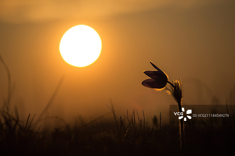 渴望光芒图片素材