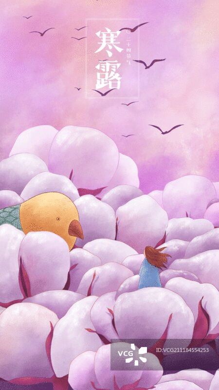 节气插画GIF动图寒露字图片素材