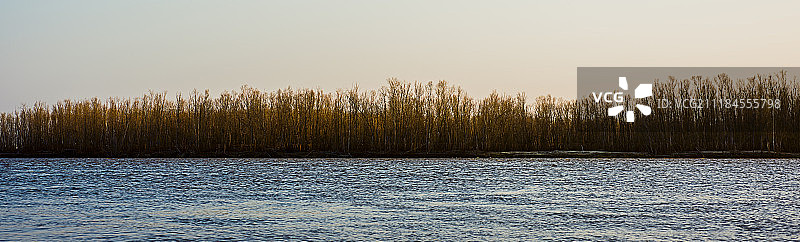 俄罗斯鄂毕河秋季风景图片素材