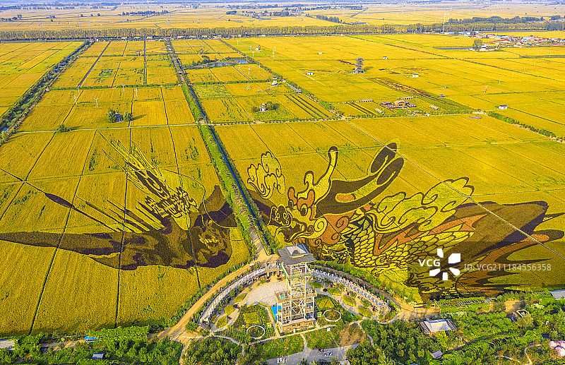 中国，辽宁省，沈阳市，锡伯族镇，稻梦空间图片素材