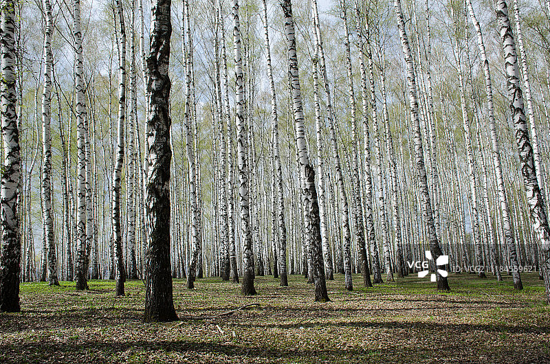 风景图片图片素材