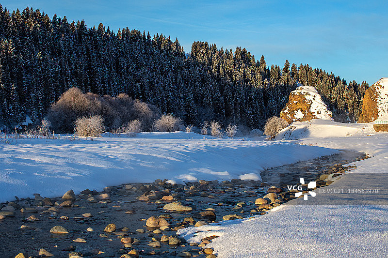 冬季巩乃斯雪景图片素材