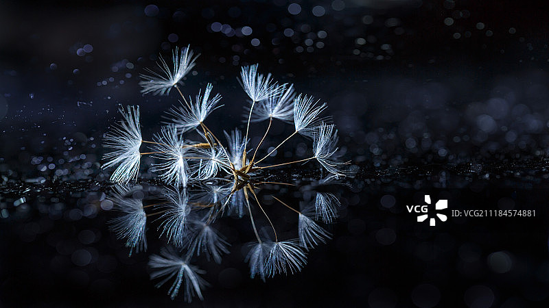 特写视图图片素材