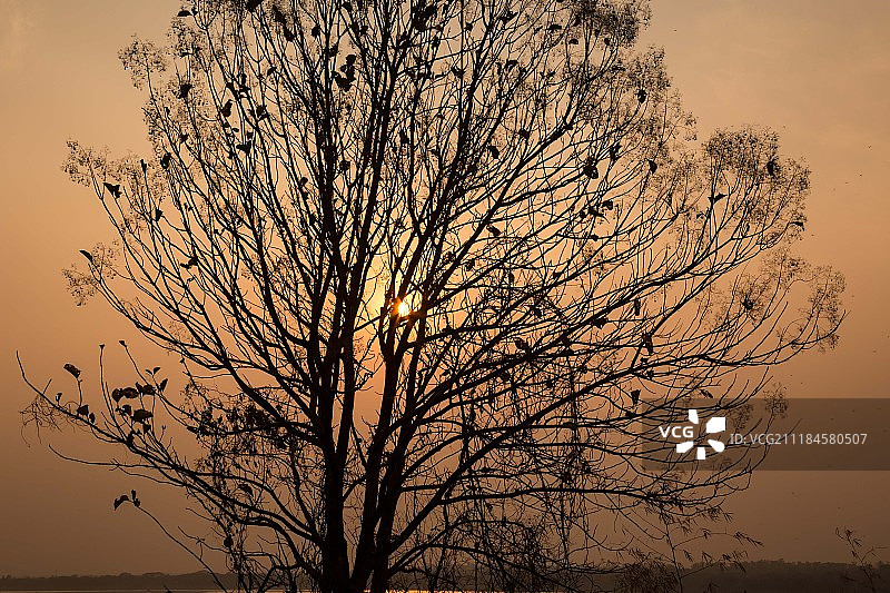 阳光细节图片素材