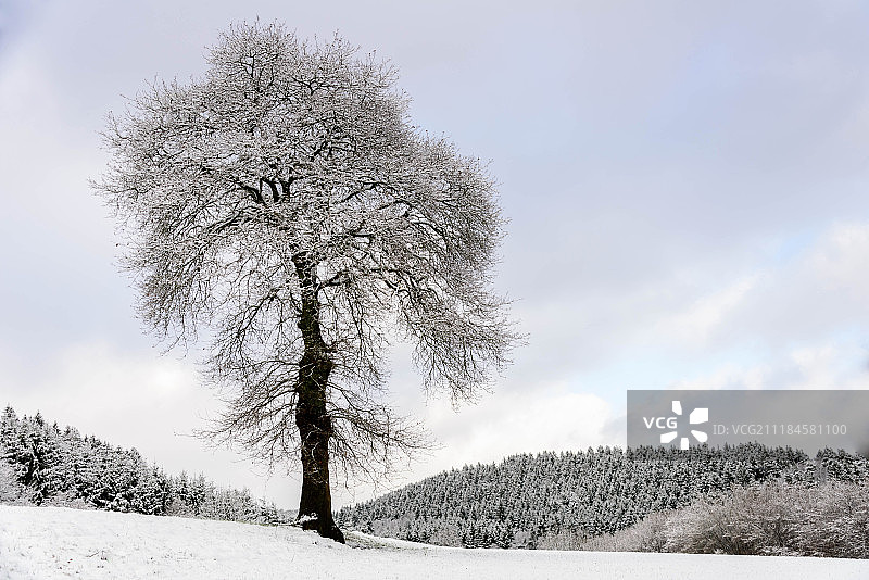冬日情怀图片素材
