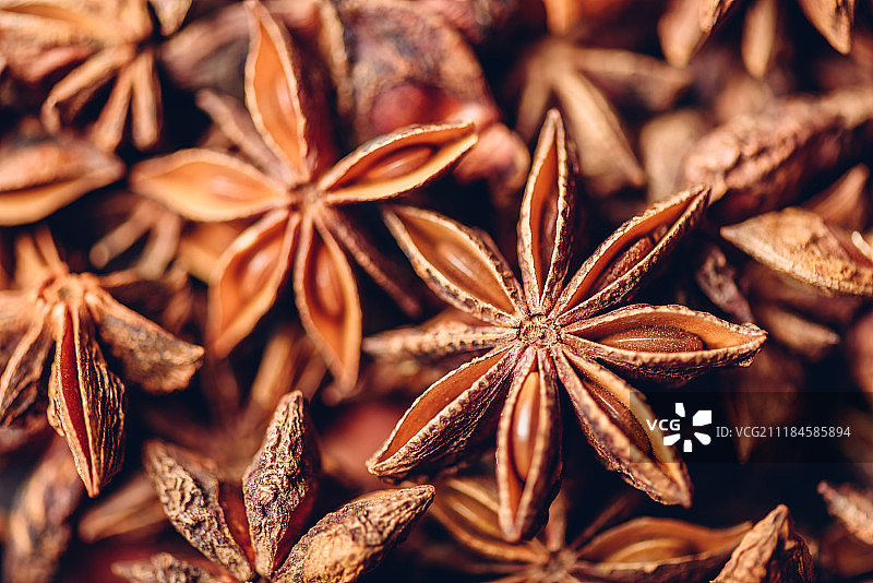 八角茴香果实和种子的背景图片素材