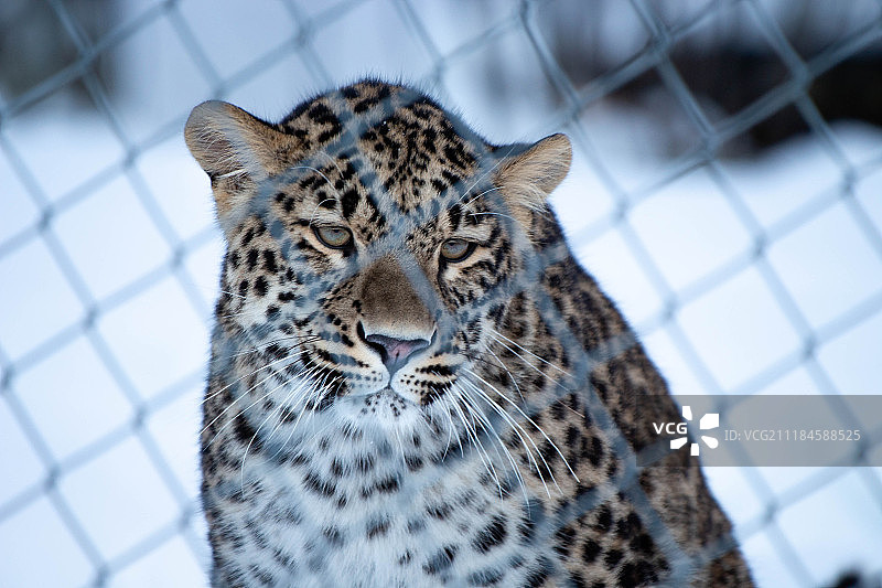 人的影响力图片素材