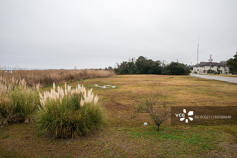 海滩的生活图片素材