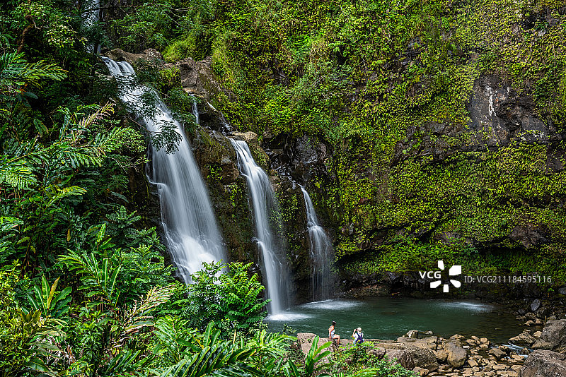 三只熊图片素材
