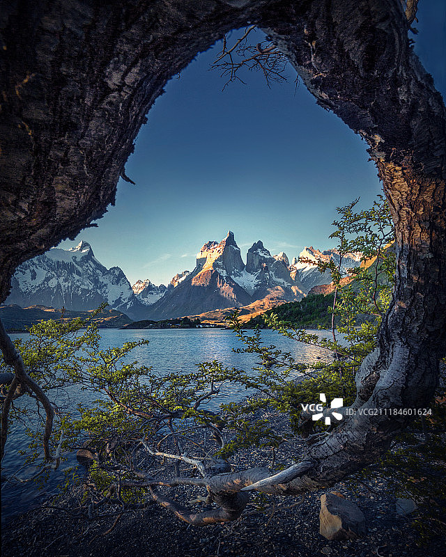 智利百内国家公园，树框景观图片素材