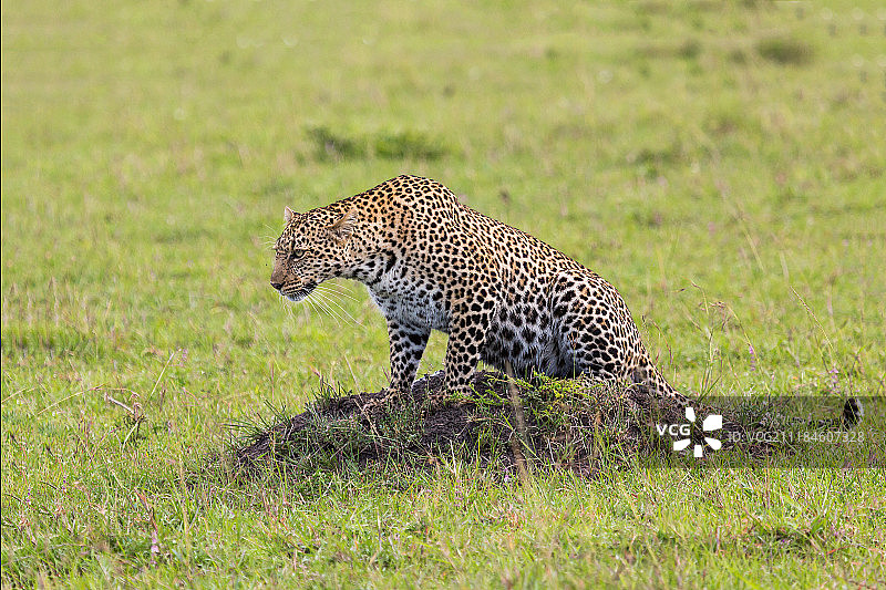 自然图像图片素材