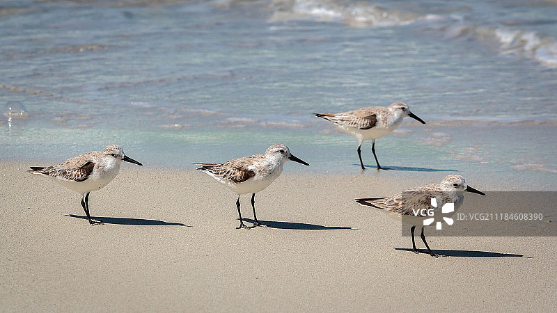 永远在一起图片素材
