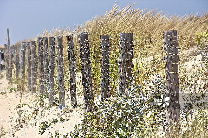 保护沙丘图片素材