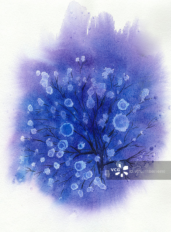 水彩花卉图片素材