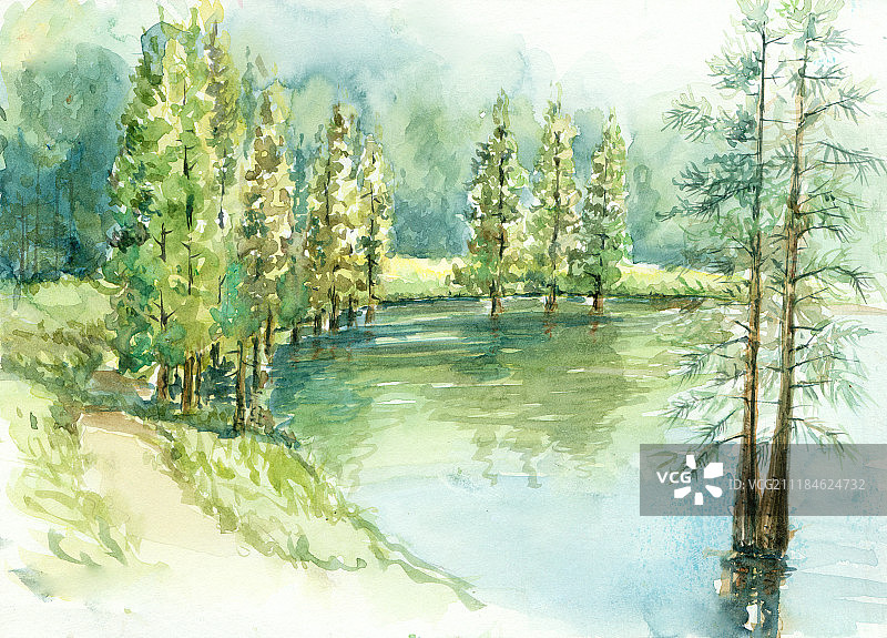 大夫山图片素材