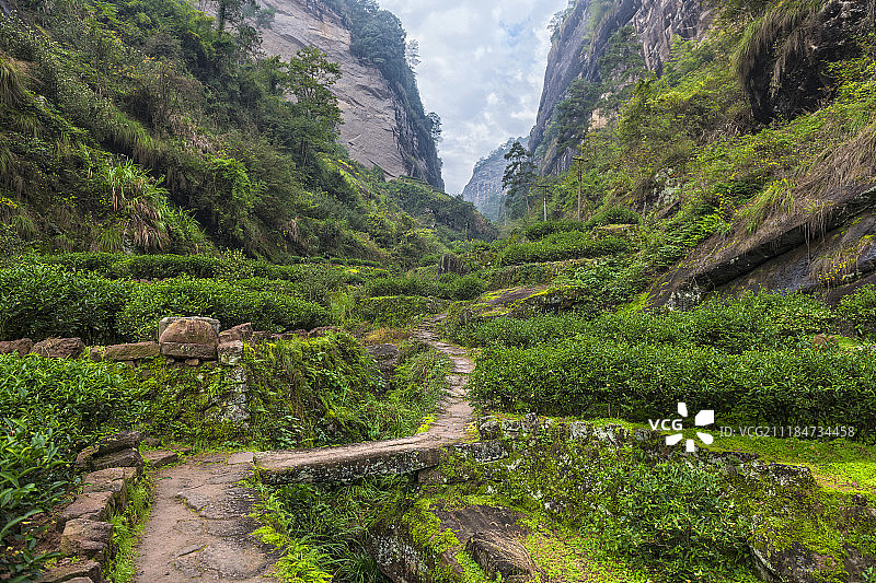 中国，福建省，厦门市，武夷山，武夷山牛栏沟图片素材