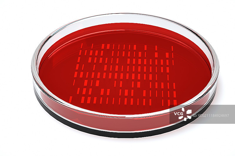 3D细胞培养皿图片素材