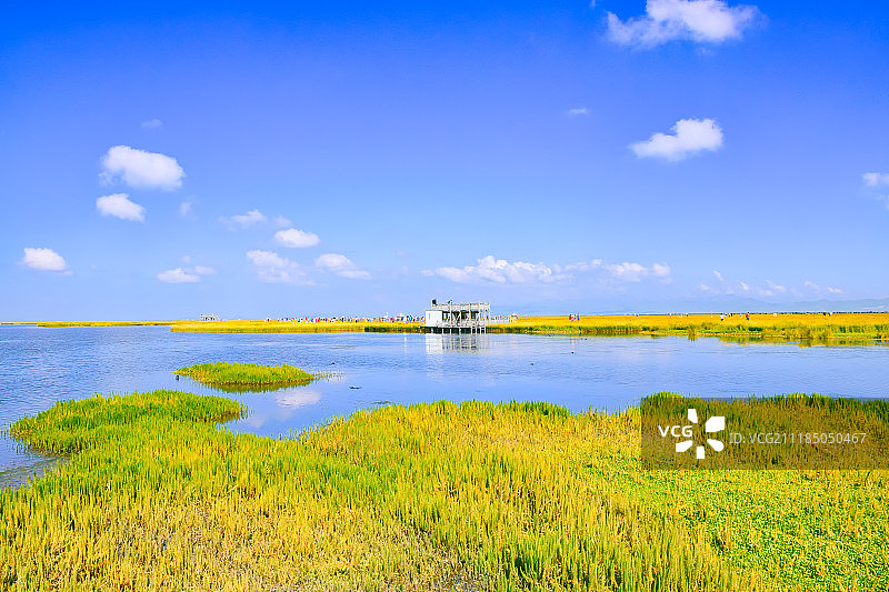四川若尔盖花湖风光图片素材
