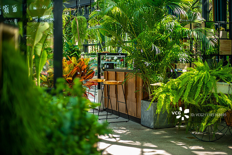 园林景观图片素材