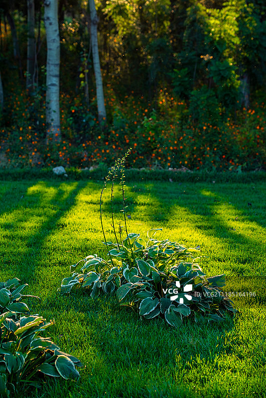 园林景观图片素材
