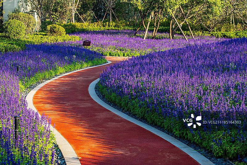 园林景观图片素材