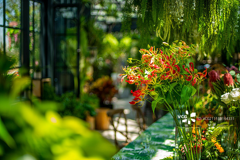 园林景观图片素材