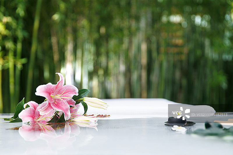 百合花图片素材