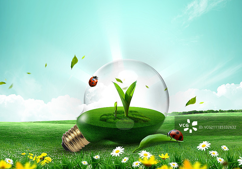 绿色自然萌芽回收图片素材