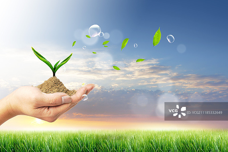 绿色自然萌芽回收图片素材