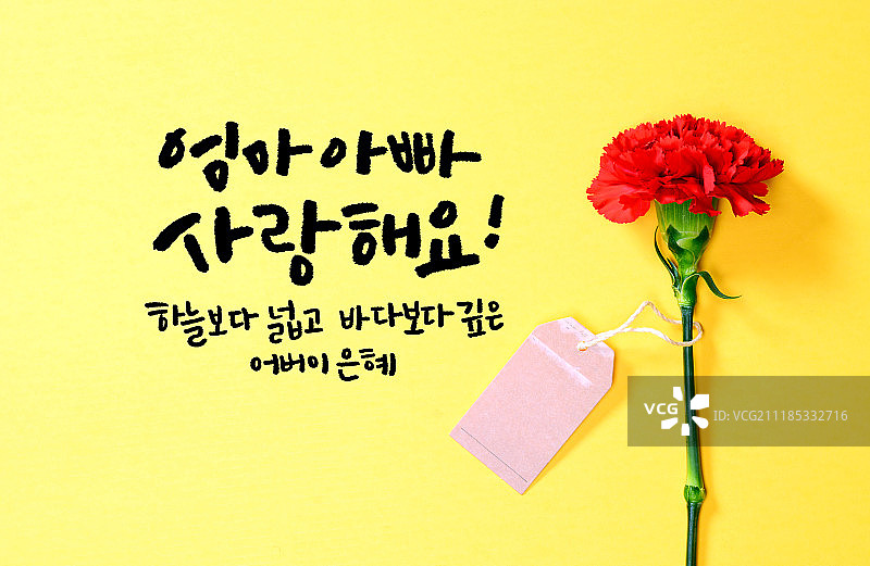 家庭月感恩康乃馨母亲节书法图片素材