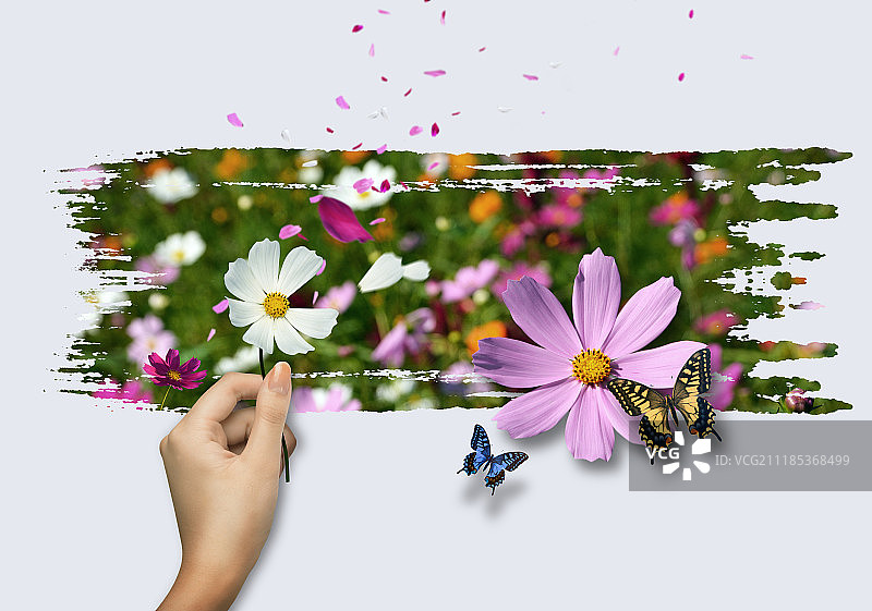 生活方式图片素材